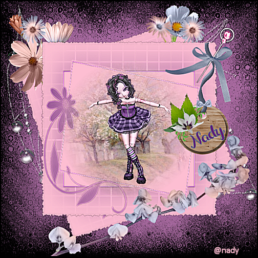 nady