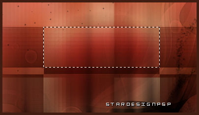 selección_rectangulo_central_color