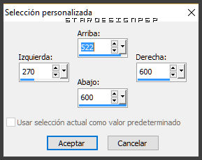 seleccion_personalizada_2