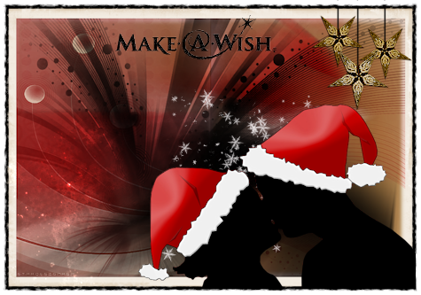 makeawish_portada