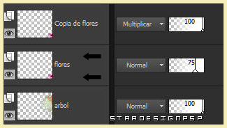 capas_2