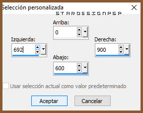 seleccionpersonalizada_1