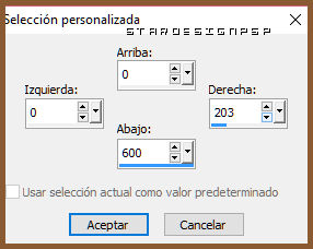 seleccionpersonalizada_2