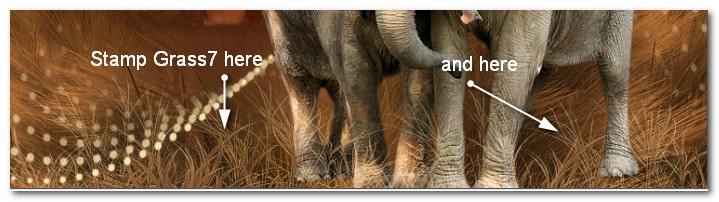 StampGrass7Here