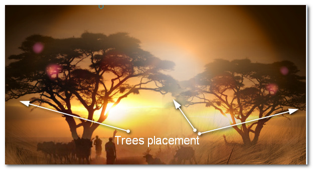 TreesPlacement