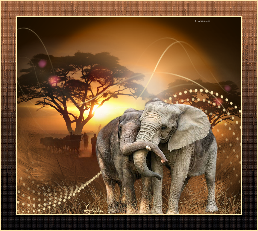 africanlove