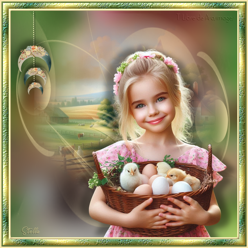 BarnyardMiss_stardesignpsp