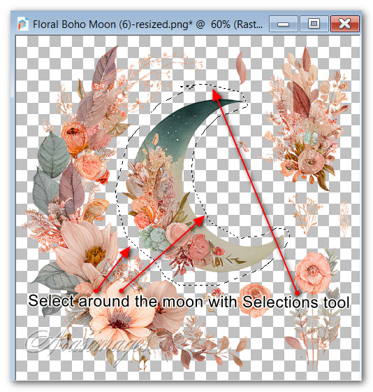 SelectMoon