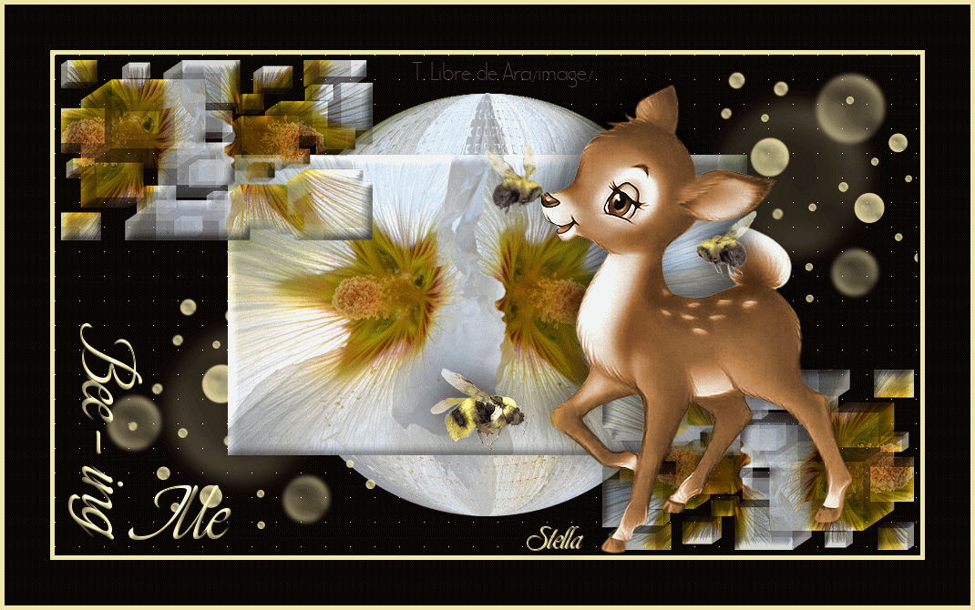 Bee-ingMe_stardesignpsp