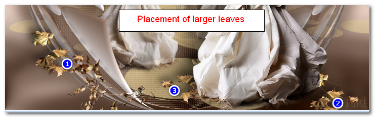 PlacementLargerLeaves