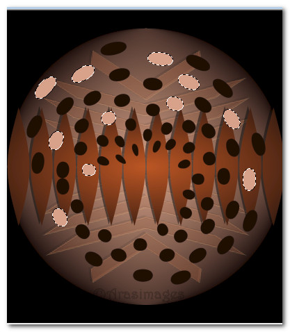 ColorDots.jpg