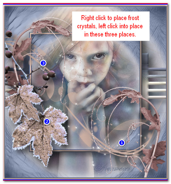 PlaceFrost