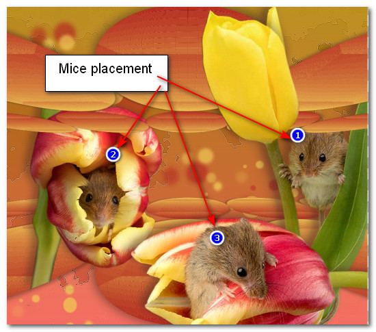 MicePlacement