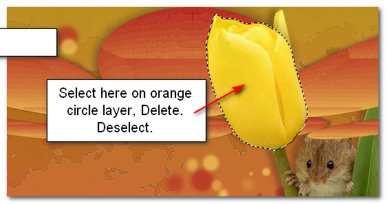 SelectDelete