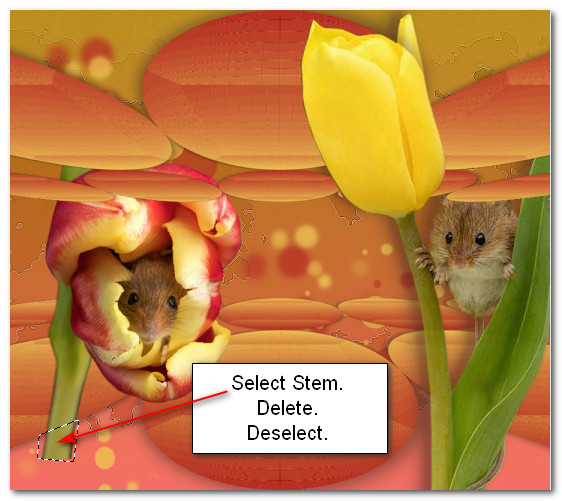 SelectStem