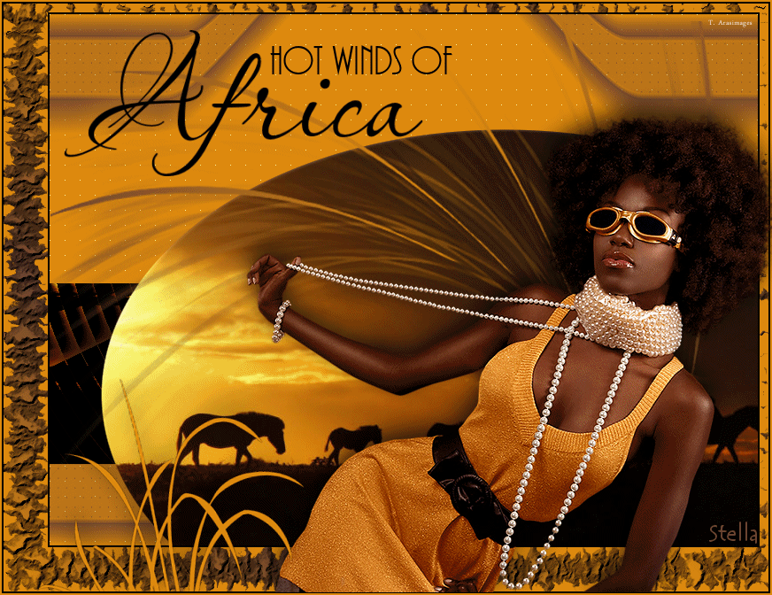 HotWindsofAfrica