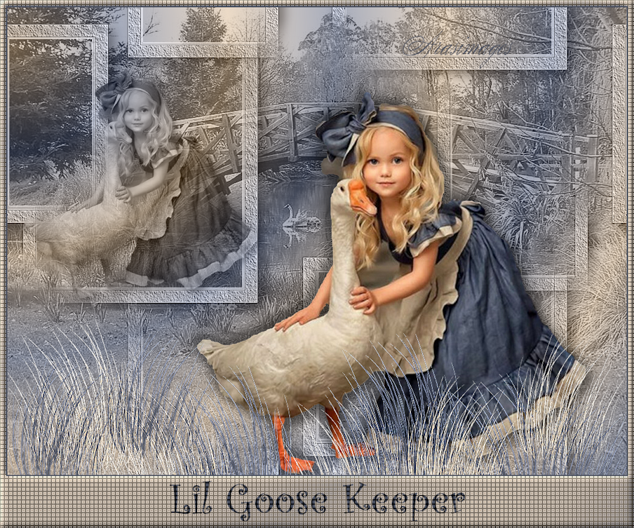 LilGooseKeep