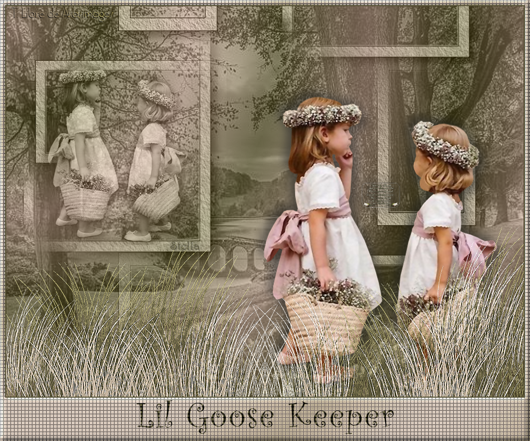 LilGooseKeeper_stardesignpsp