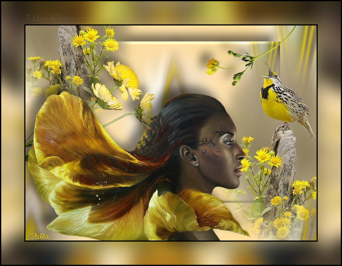 LookingtowardSpring
