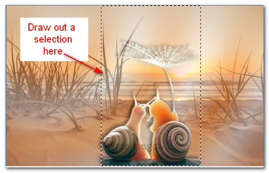 DrawSelection