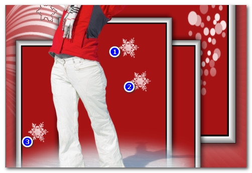 Snowflake31Placement