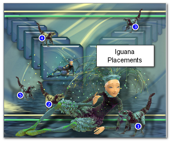 IguanaPlacements