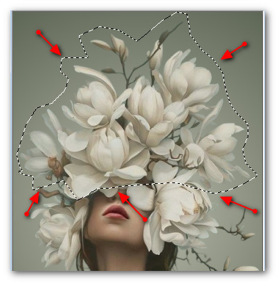 FreehandSelectionFlowers