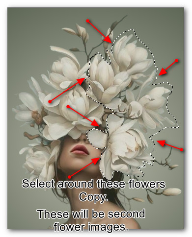 SecondFlowers