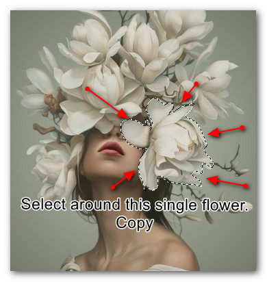 SingleFlower