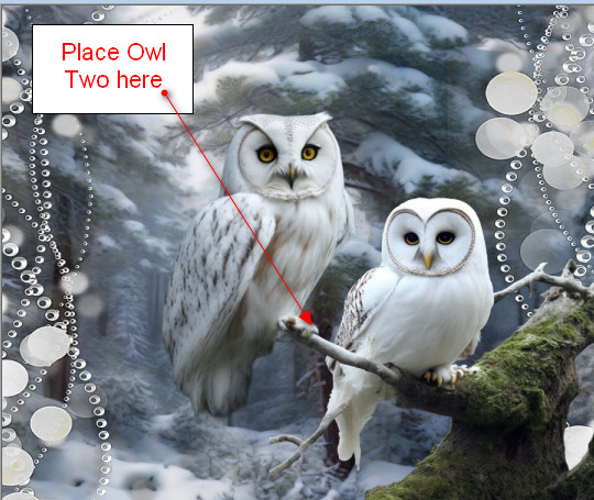 PlaceOwlTwo