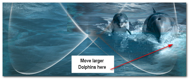 LargeDolphins