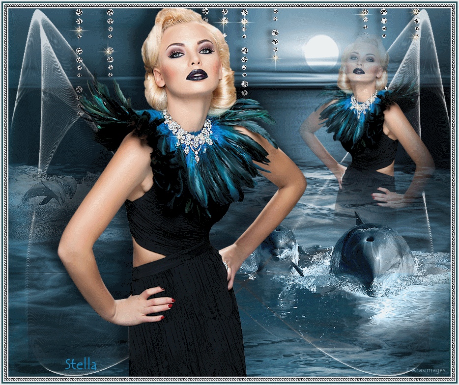 PlayingwithDolphins_stardesignpsp