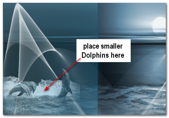 SmallDolphins