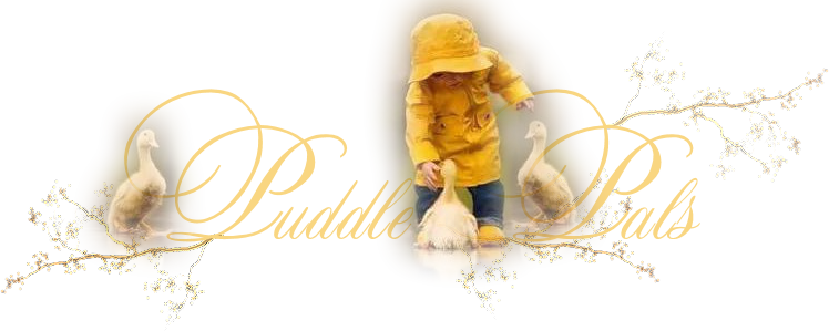 PuddlePalsTop