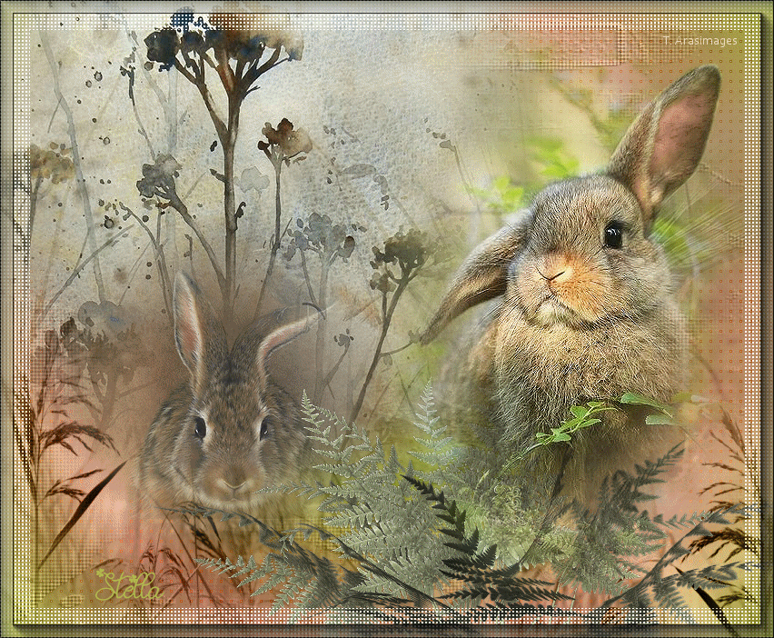 RabbitsinaThicket