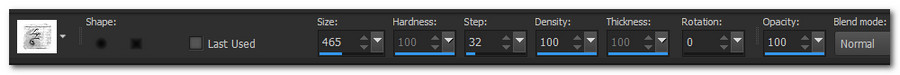 BrushSettings