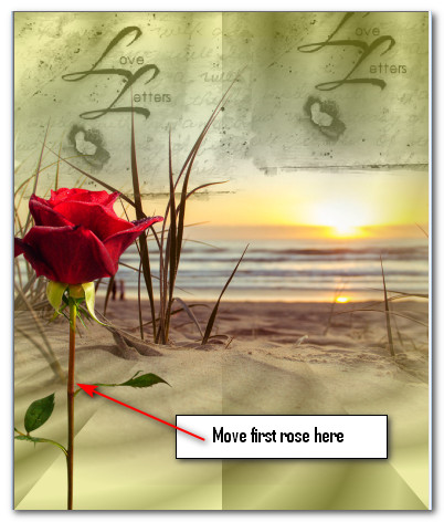 RoseOneHere