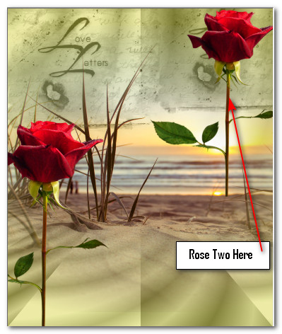RoseTwoHere
