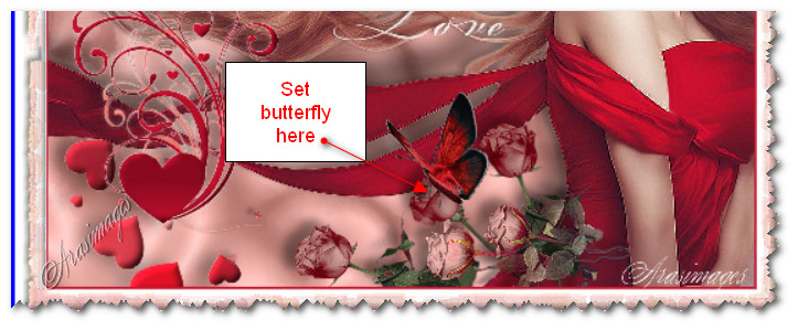 SetButterflyHere