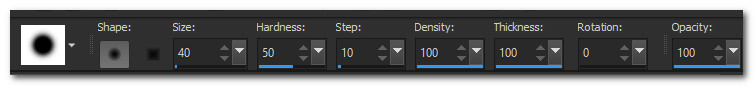 EraseSettings