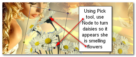 SmellingFlowers