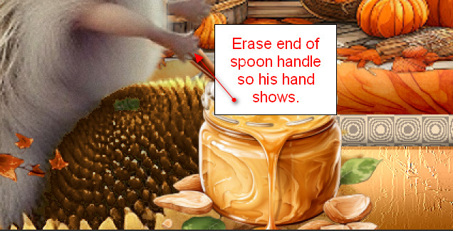 EraseSpoon