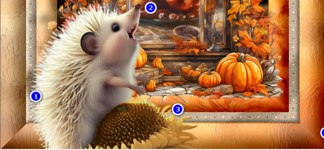 HedgehogPlacement