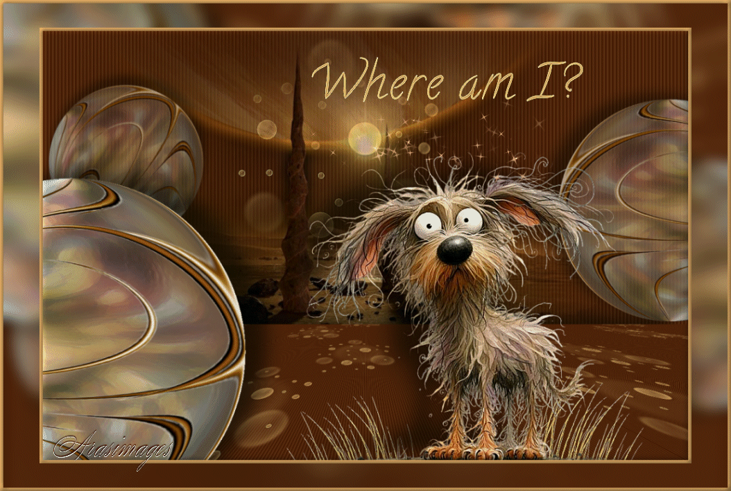 WhereAmI
