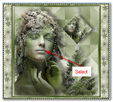 SelectFace