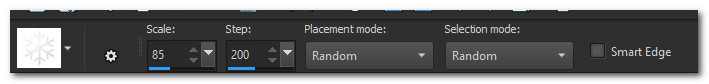 SnowflakeSettings