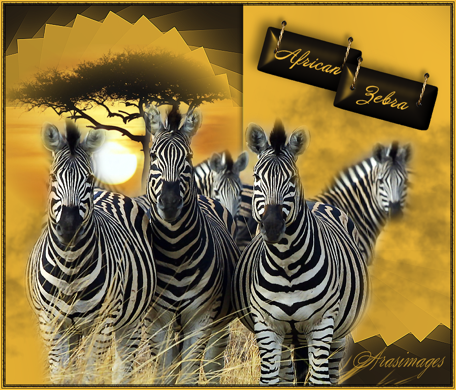 AfricanZebra