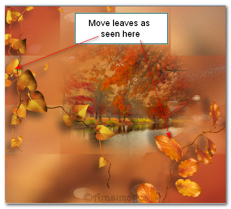 MoveLeavesHere