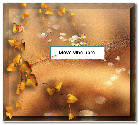 MoveVine