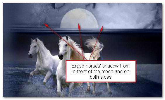 Erasehorsesshadowfrommoon_1